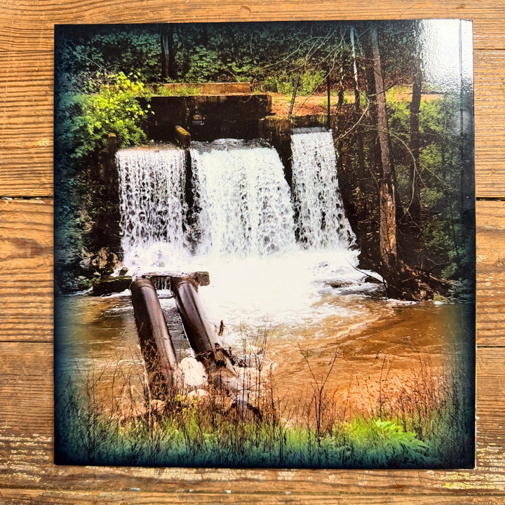 Ozark Fisheries 100 year old history book
